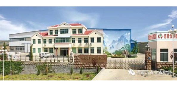 棲霞德豐食品有限公司入選第七批農(nóng)業(yè)產(chǎn)業(yè)化國家重點(diǎn)龍頭企業(yè)！